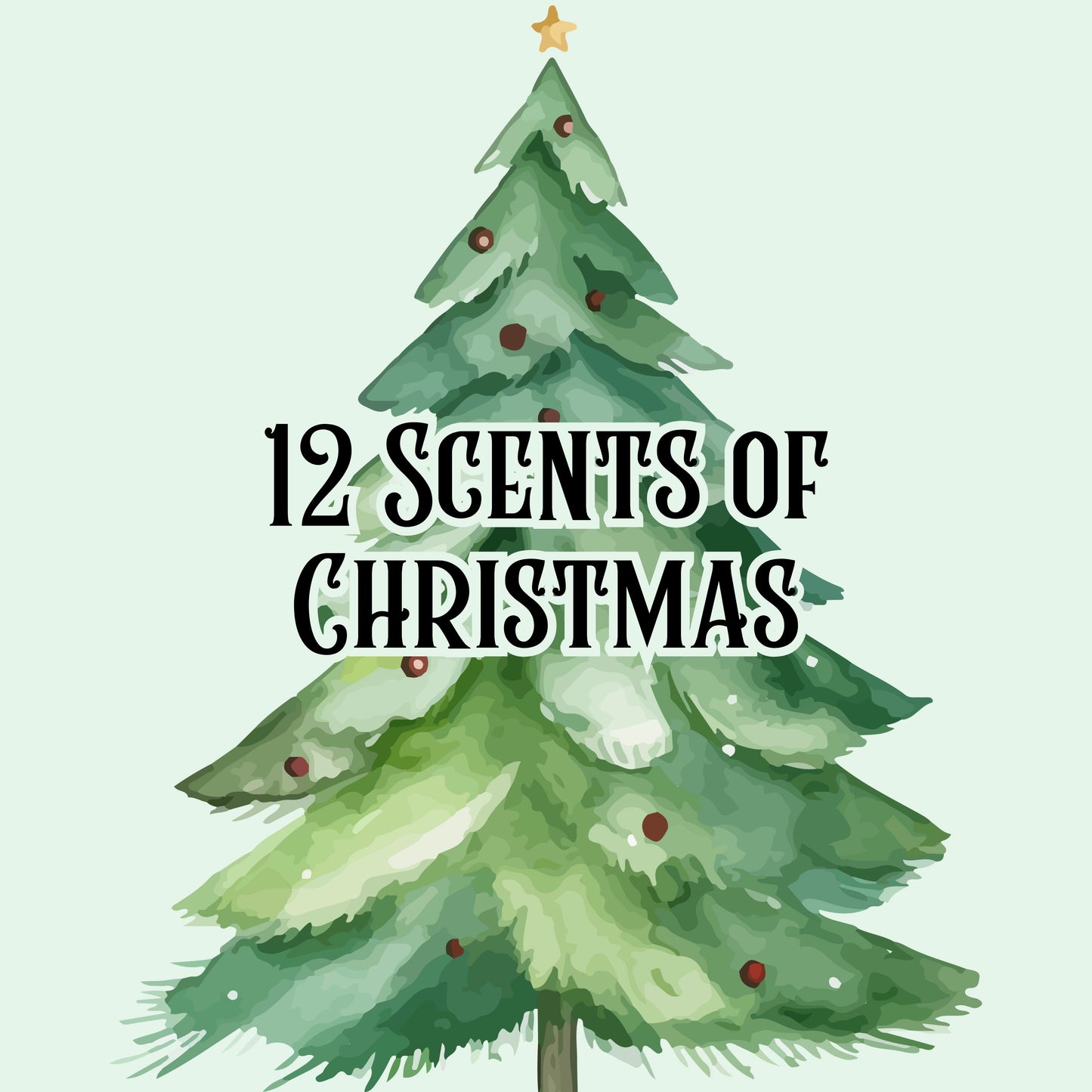 Twelve Days of Christmas